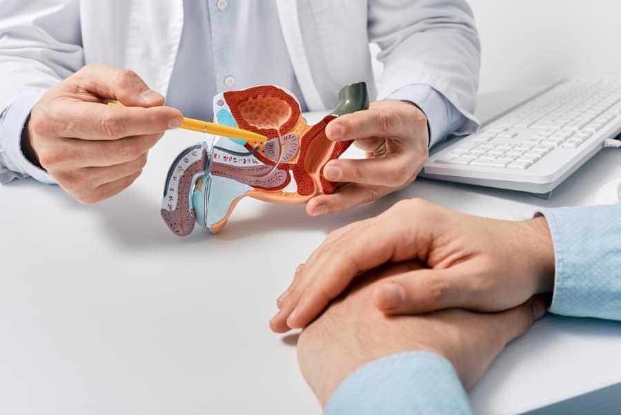 Urologist sitting across from patient pointing to model of male reproductive organ